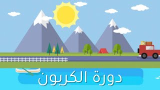 دورة الكربون | علم بيئة