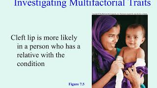 Celebrity Unit 5 part 4 multiple factorial Net Worth