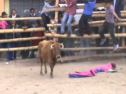 FIESTAS DE SAN JUDAS TADEO GONZÓL 2015 - YouTube