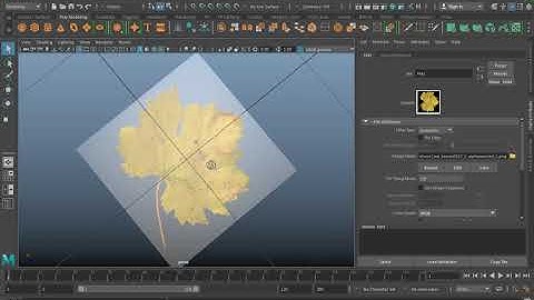 Autodesk Maya: Texturing with Transparency