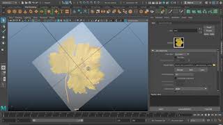 Autodesk Maya: Texturing with Transparency
