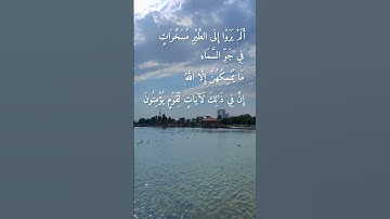 ما يمسكهن إلا الله - سورة: النحل - القارئ الشيخ: سعد الغامدي #قرآن #راحه #asmr #quran #حالات