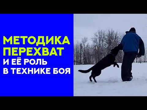 Бой собаки с человеком - техника. Роль перехвата в бою. Dog fighting with man. Technique of fight.