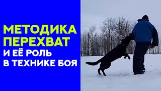 Бой собаки с человеком - техника. Роль перехвата в бою. Dog fighting with man. Technique of fight.