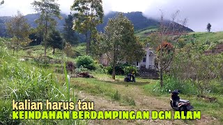TERPENCIL PEDALAMAN GUNUNG WILIS.RUMAH TANPA TETANGGA. INDAH TENANG walk virtual
