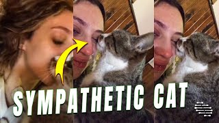 Sympathetic Cat Comforts Its Owner