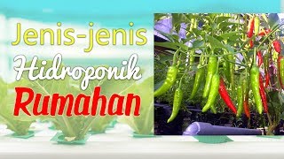 Jenis-jenis Sistem Hidroponik