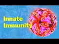 Innate Immune Response Quiz