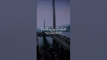 القارئ الشيخ• محمد صديق المنشاوي#قرآن #اكسبلور #المصحف #لايك #إستمع