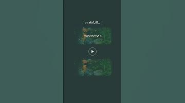 سورة لقمان القارئ محمد صديق المنشاوي