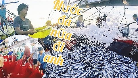 Trúng Mánh 2 Bầy Cá Trong Đêm | Đánh Cá 2025 - Tập33 | Sóng Biển Hứa Đông