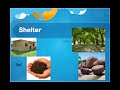 Meeting Our Basic Needs: Food, Water, Air, Shelter, and Clothing