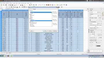 Tuto vidéo : Appréhender le vocabulaire des données et utiliser les tris dans LibreOffice Calc