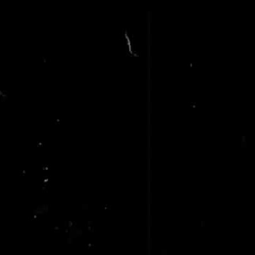 #vintage Mentahan efek vintage keren || kine master