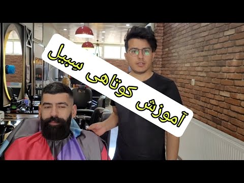 آموزش کوتاهی سیبیل
