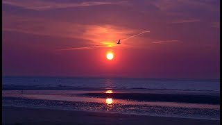 Psalm 85(86):5-6,9-10,15-16 for the 16th Sun in Ord Time, Yr A - O Lord, You Are Good And Forgiving