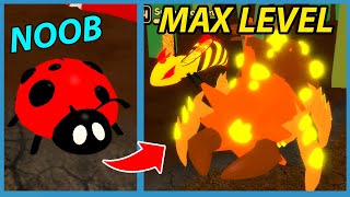 Noob With Super Bee Pet! Got Max Level! | Roblox Bug Simulator