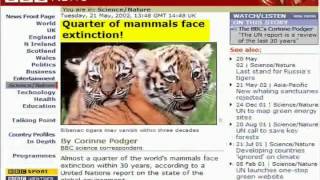 The Tamahu Exposure And History Part 6