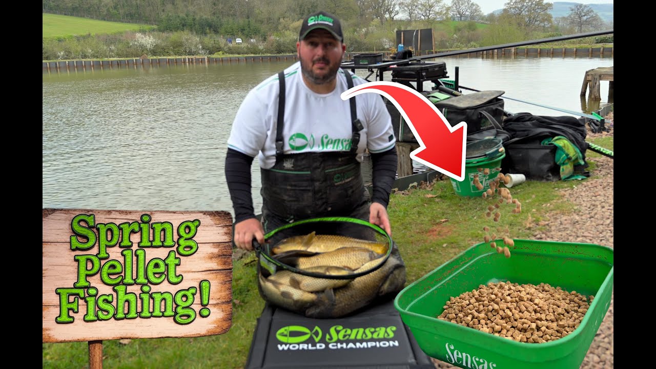 Spring Session on Hard Pellets | Redhill Fishery