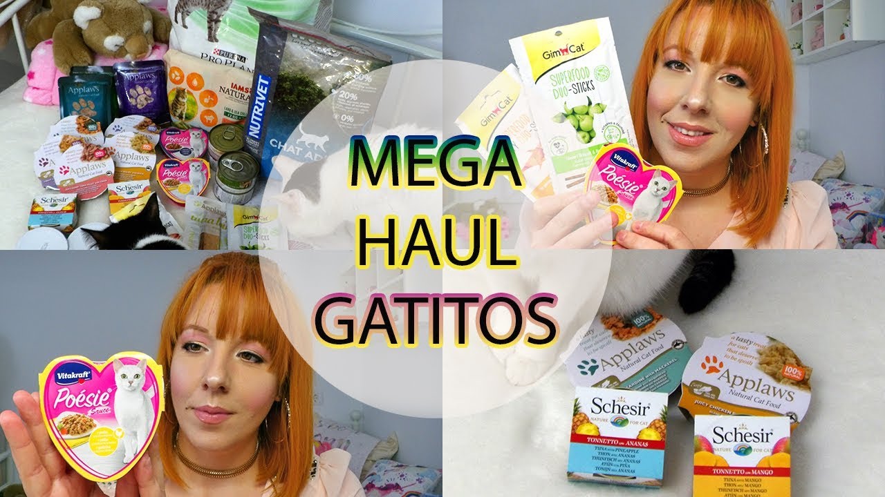 MEGA HAUL GATITOS ♥Luxury Tammy♥ video phone beyonce mp3