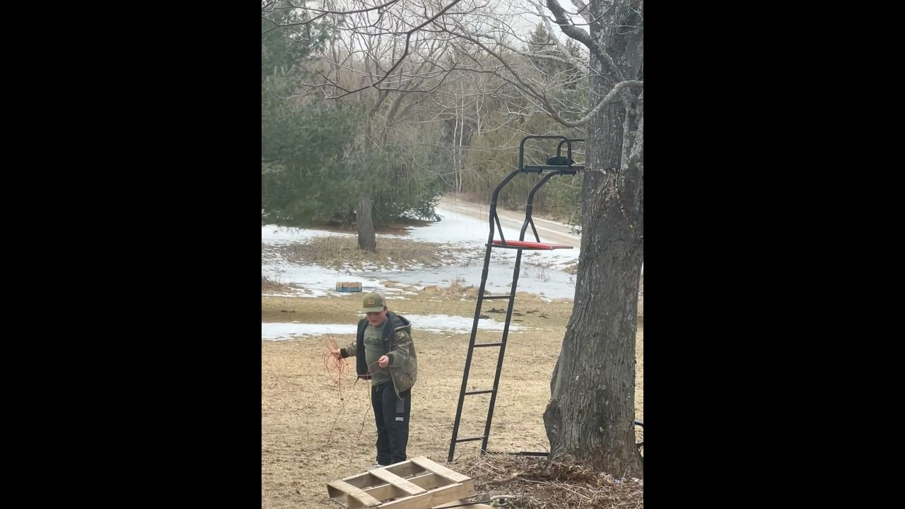Youth hanging his tree stand 