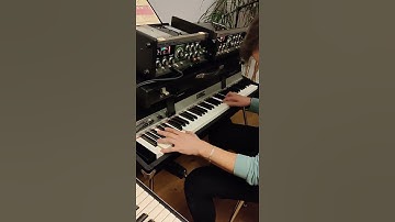 Roland Space Echo RE-201 tape delay for S. in Poland