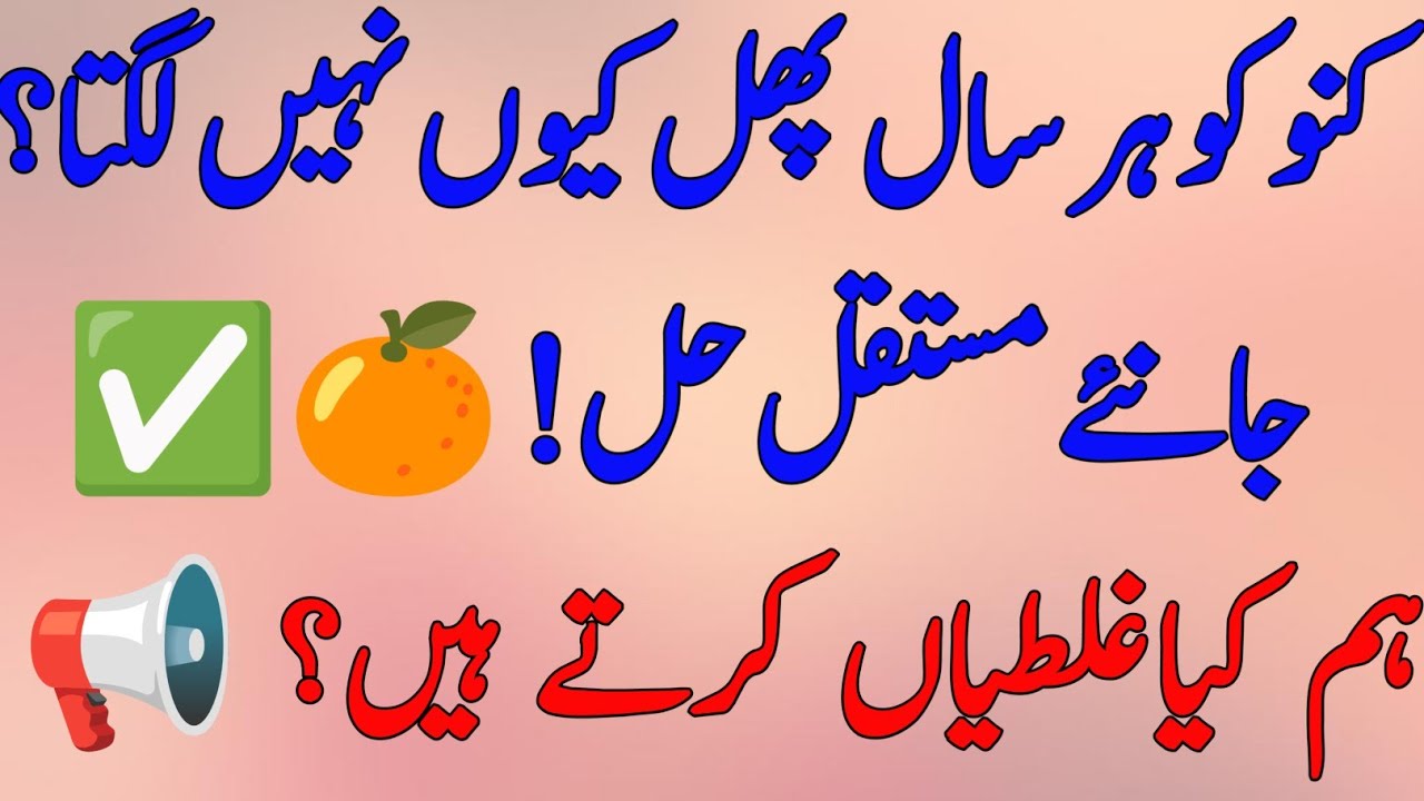 کنو کو ہر سال پھل کیوں نہیں لگتا؟ مستقل حل جانئے! 🍊✅ How to Control Alternate Bearing in Citrus