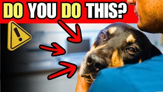 16 Cruel Mistakes That Hurt Your Dog (Without You Knowing!)