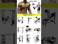 Build a Massive Chest With These 5 Exercises! 💪