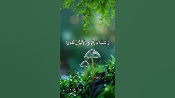 سورة الإسراء 45-46