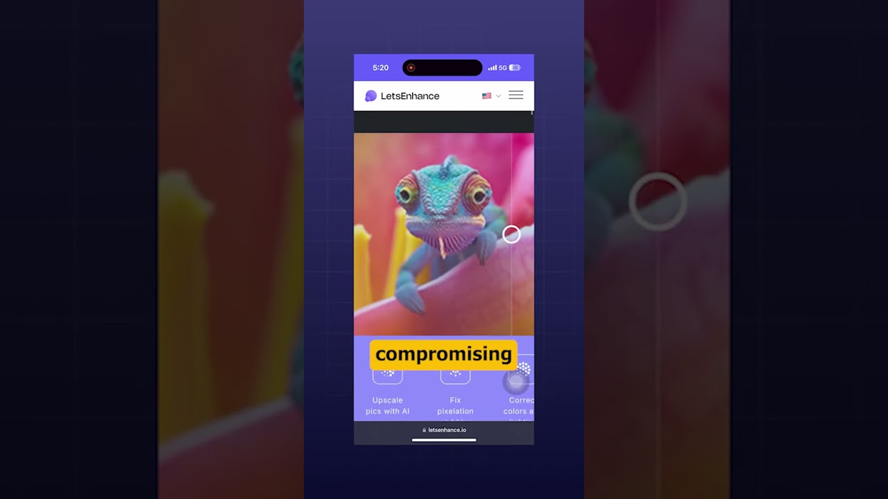 preview_player