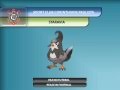 PGO: Mascotes Pokémon Campeonato Brasileiro 2011 e outros