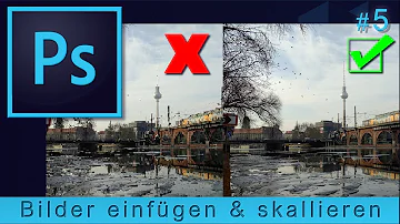 Was kann in Photoshop alles eingefügt werden?