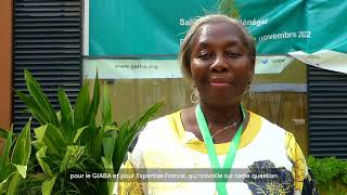 Portrait Of Experts Stella A. Attakpah