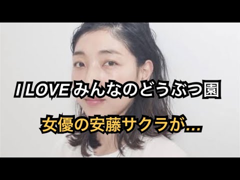 安藤サクラ、相葉雅紀MC『I LOVE みんなのどうぶつ園』出演　野生イルカの群れに入り込む