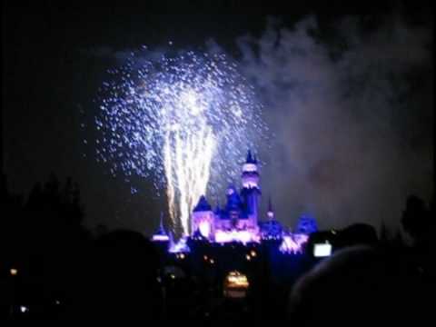 Anna and Randys best magical surprise Disneyland C...