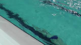 50 apnea - Emily