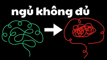 Bộ Não Làm Việc Cật Lực Ra Sao Khi Ta Ngủ? Câu Trả Lời Sẽ Khiến Bạn Kinh Ngạc!