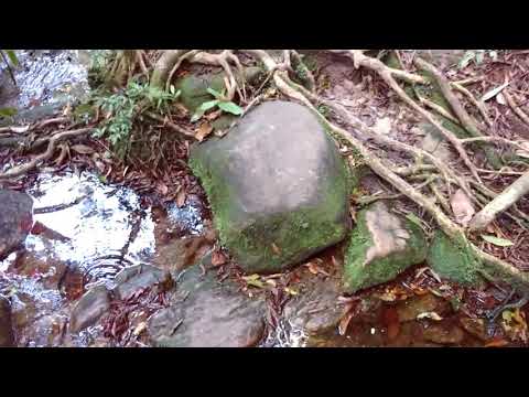 Chegando na Cachoeira da Pedra Furada