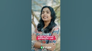LSS SPECIAL നാലിൽ 4! | Xylem Class 4