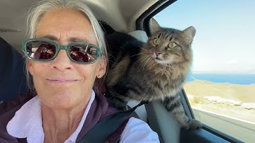 10,000 hours✅ I am the World’s Expert on Harvesting Oak Trees for Acorns. 