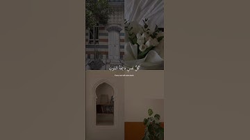 سورة العنكبوت - #عبدالرحمن_مسعد  #تلاوة_خاشعة