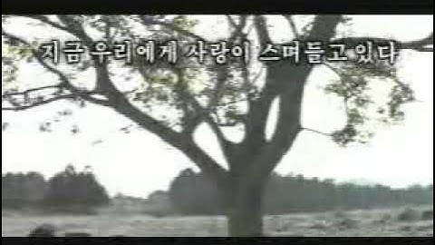 Jang Dong Gun - Love Wind, Love Song MTV
