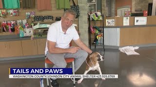 Tails and Paws for Friday, May 10, 2024