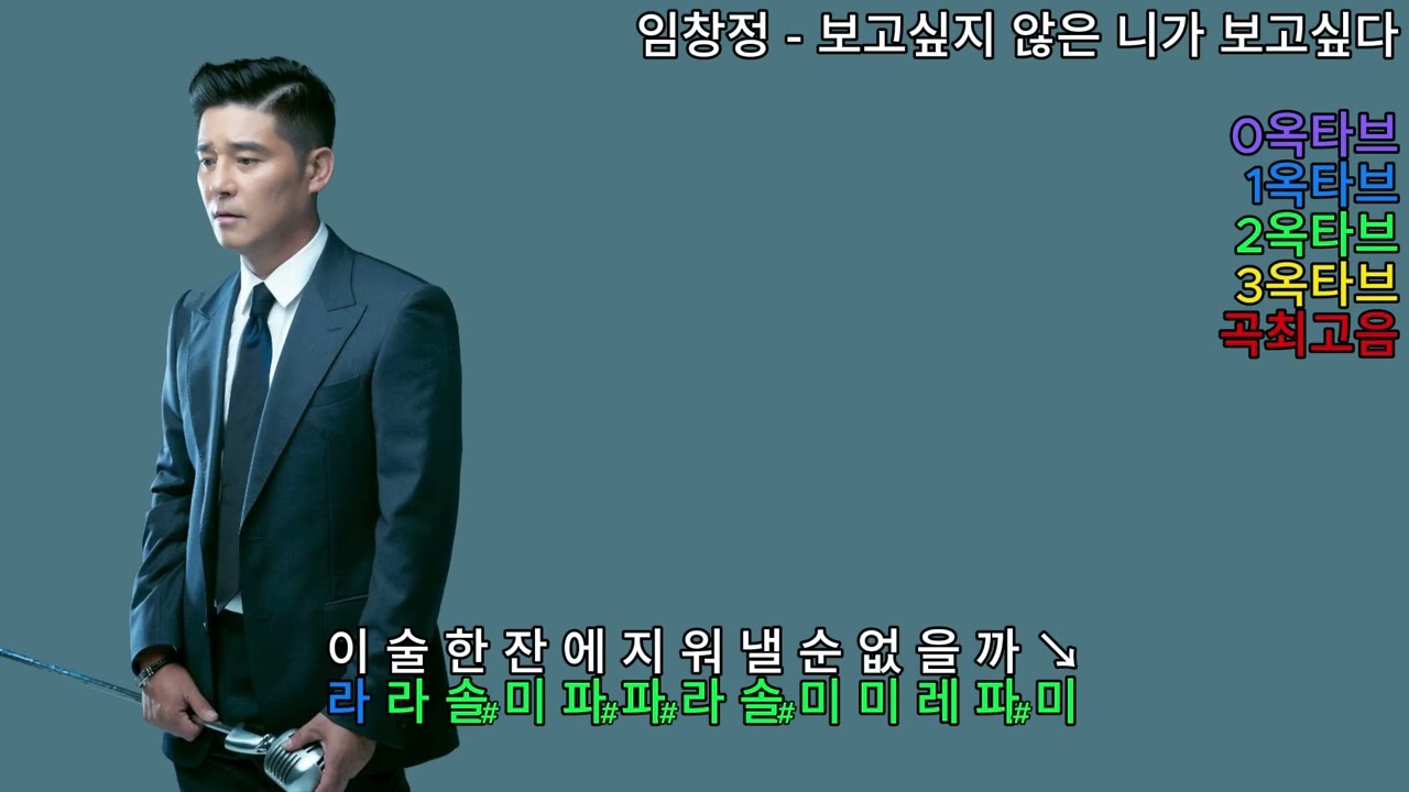 (옥타브체크) 임창정 - 보고싶지 않은 니가 보고싶다