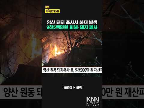 양산 원동 돼지축사서 불, 9천5백만원 재산피해 / KNN