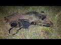 5 Hogs In 3 Nights