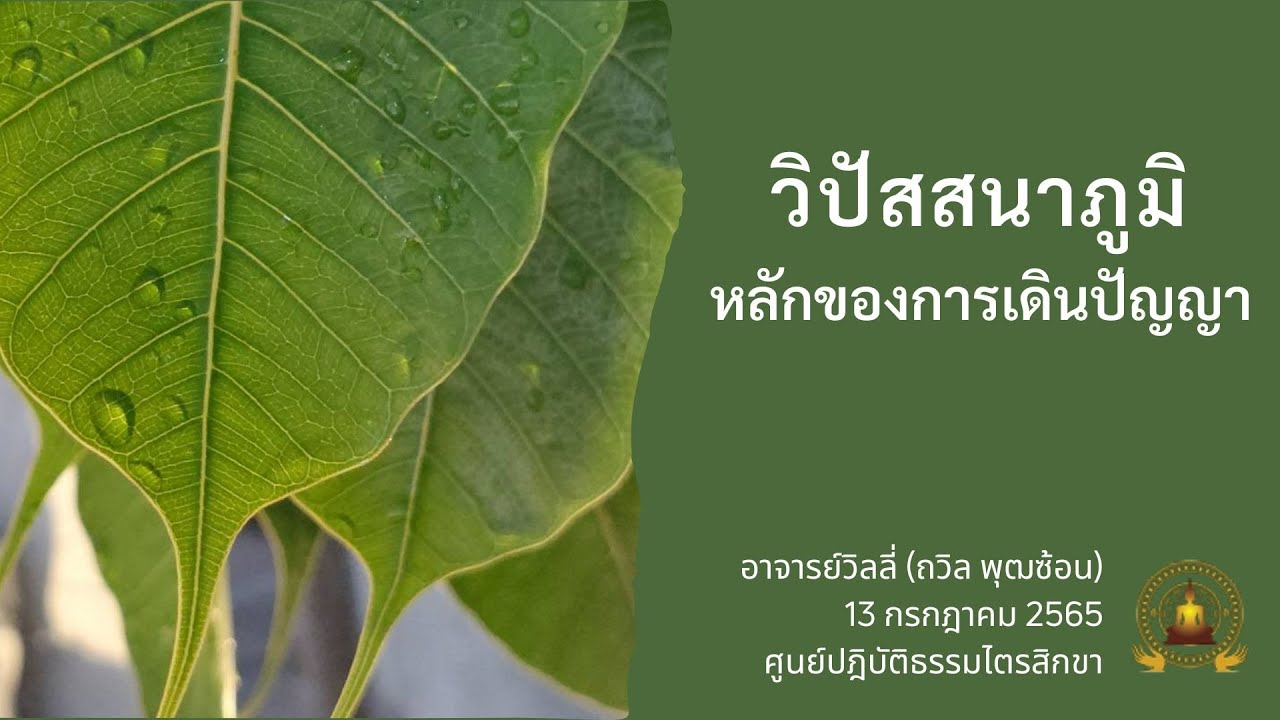 วิปัสสนาภูมิ และ หลักของการเดินปัญญา