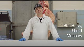 Learn the Art of Butchery - Beef - Intro