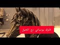 #فلوق يومياتي مع الخيل ودهماء